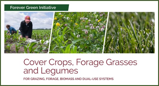 cover crops photo banner from summary document