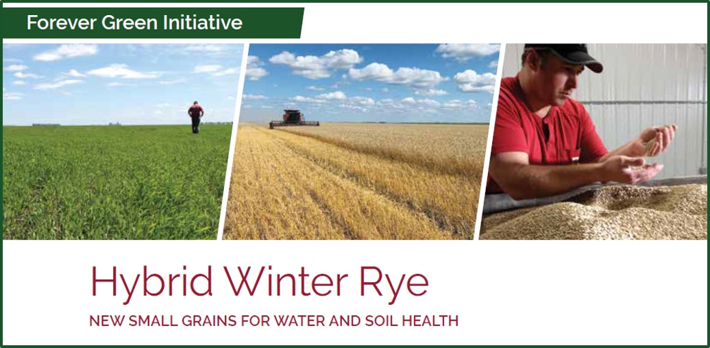 rye photo banner from summary document