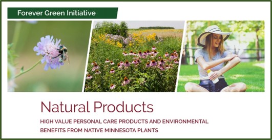 High Value Personal Care Products and Environmental Benefits From Native Minnesota Plants