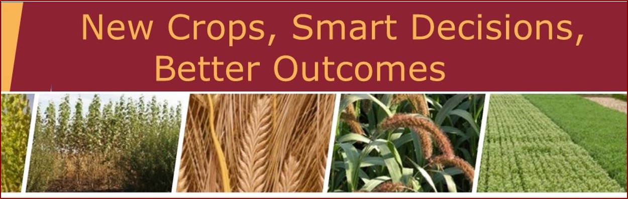 New crops, smart decisions, better outcomes - Forever Green banner