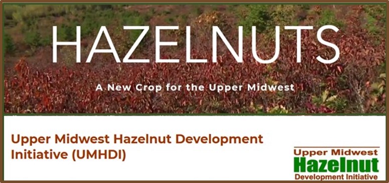 Upper Midwest Hazelnut Development Initiative