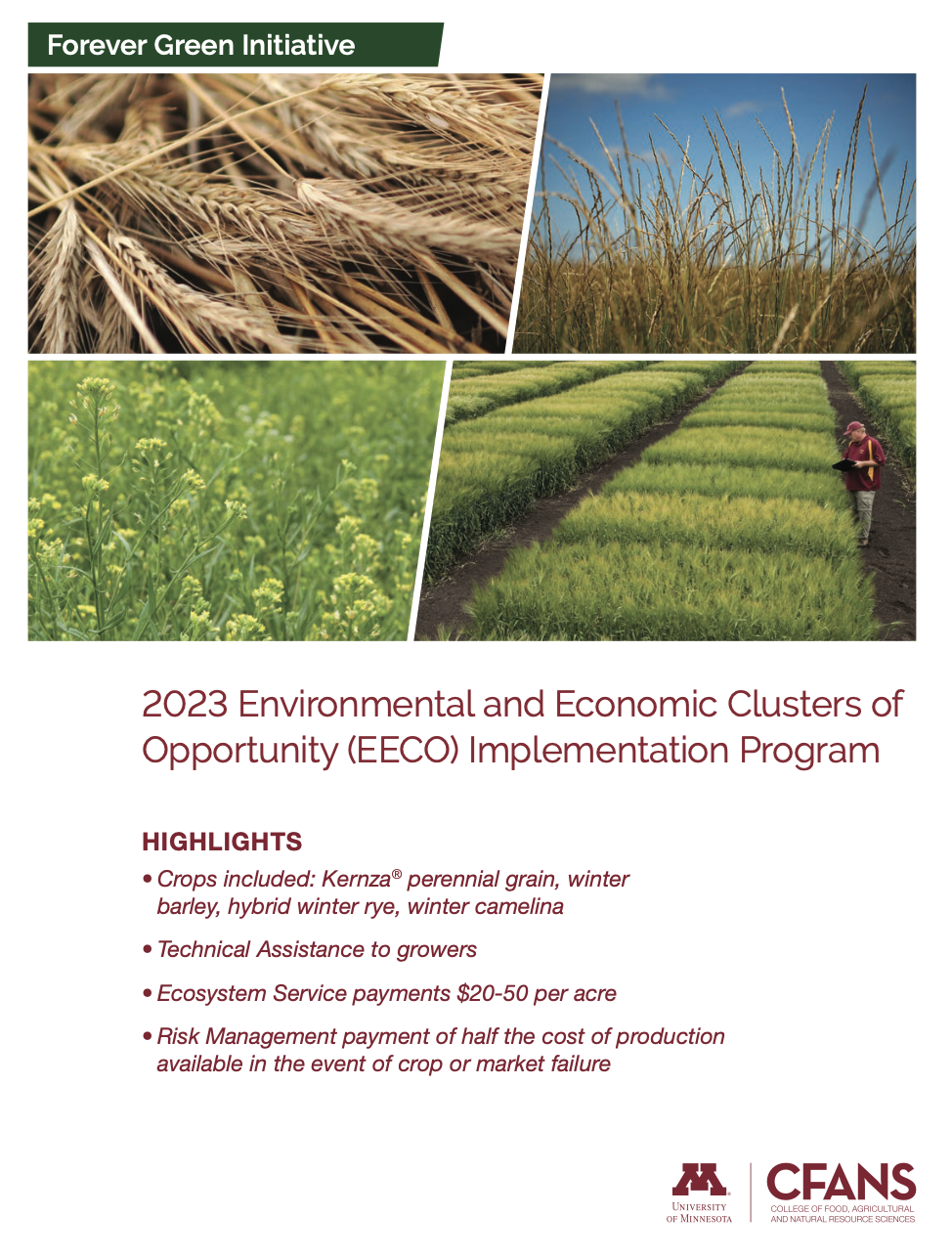 A photo showing the first page of the EECO program flyer. It was photos of the four eligible crops and includes branding plus logos for the University of Minnesota and CFANS.